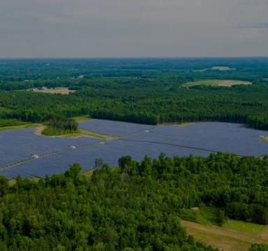 Image of a solar panel field in the middle of a forest.