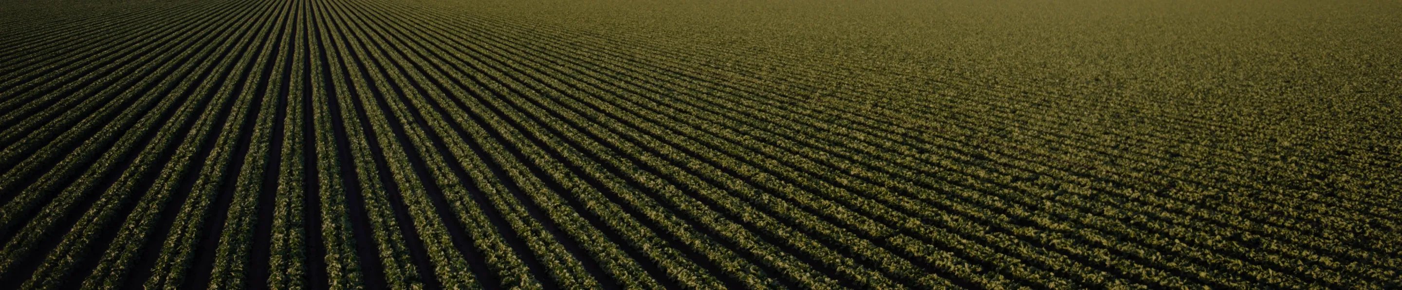 Image of a farm field.