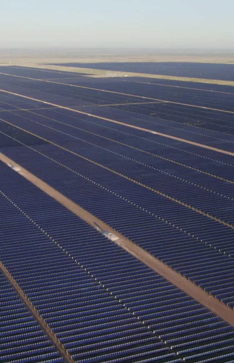 Close up of a solar panel field.