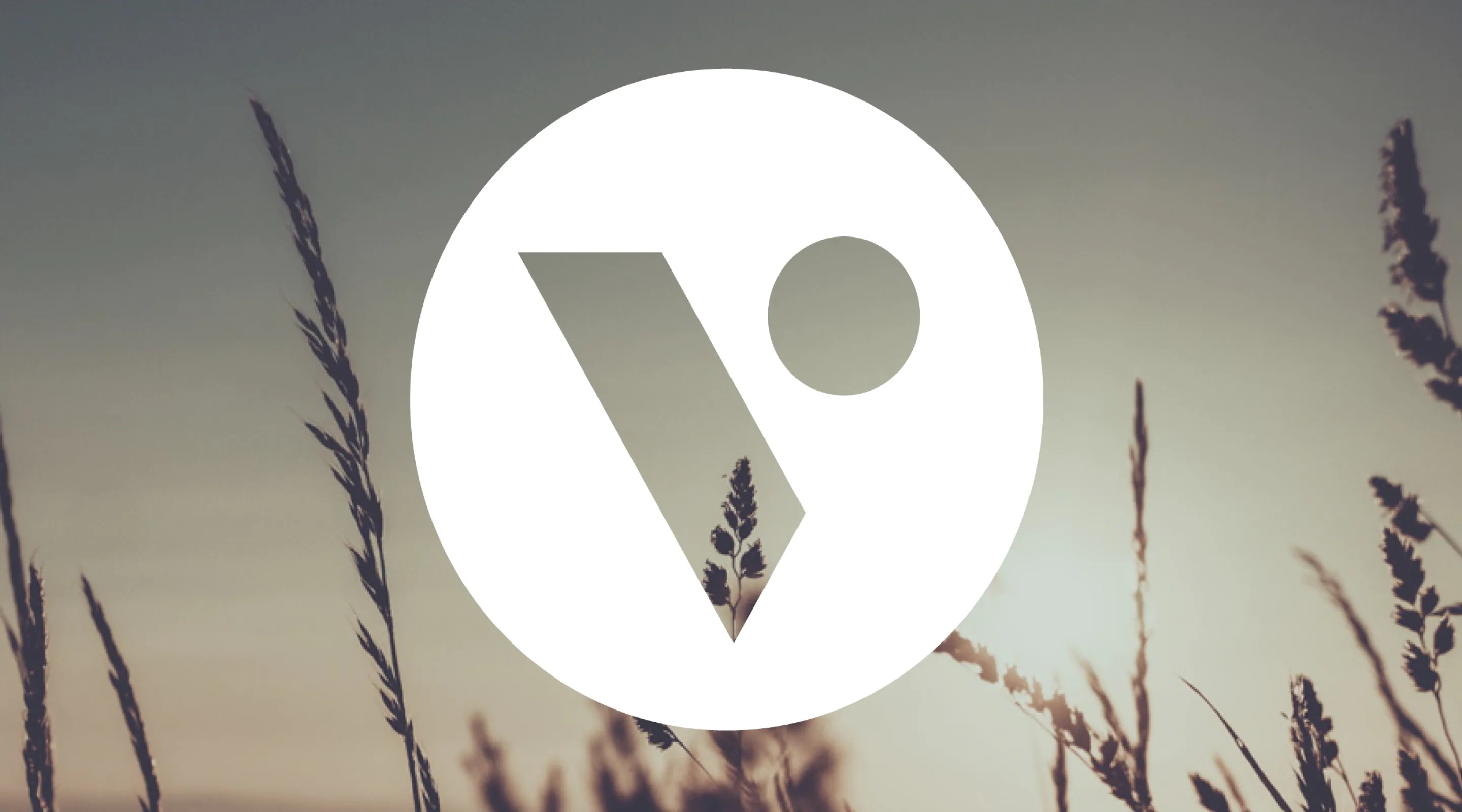 Verengo-Carousel-BG.webp