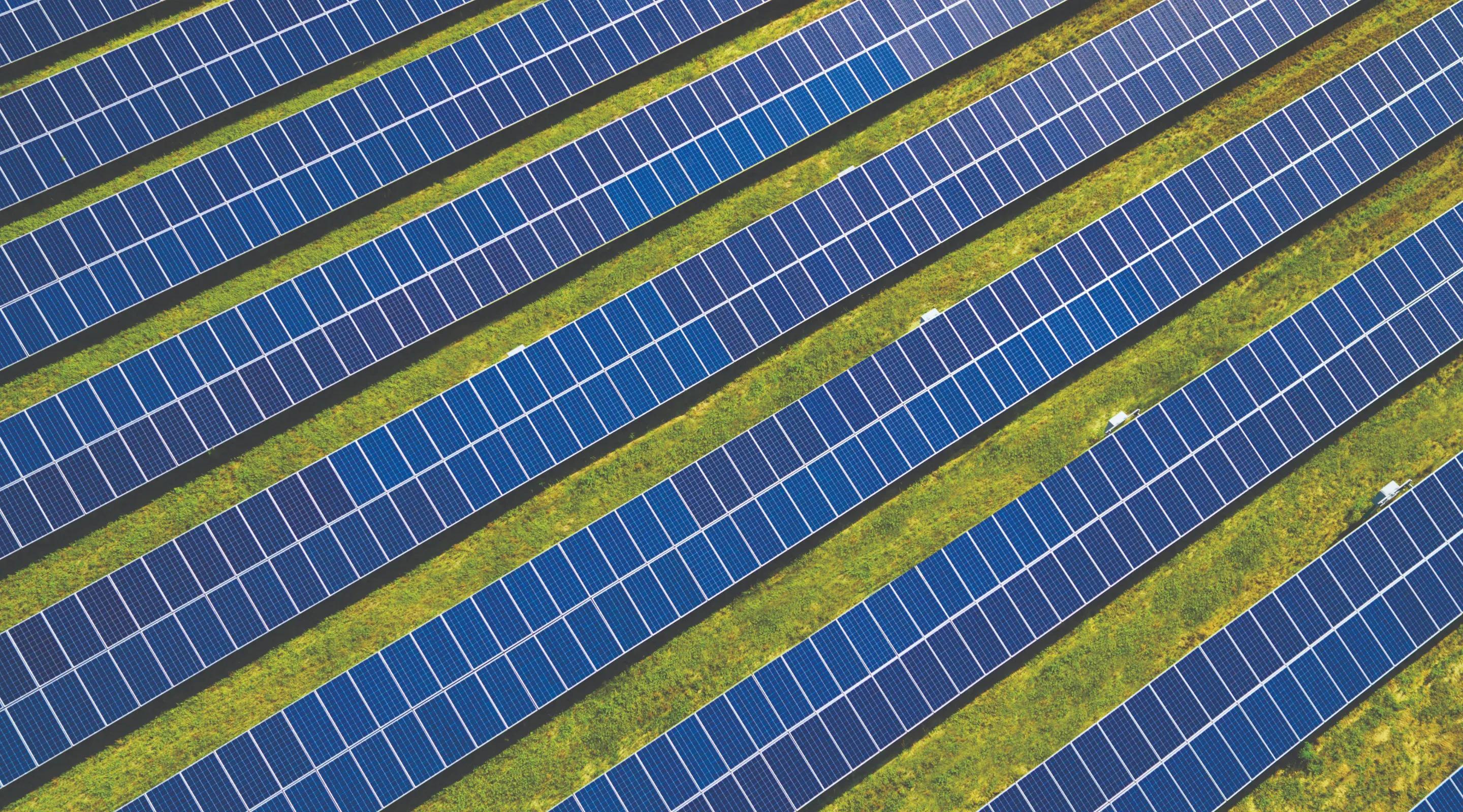 Image of rows of solar panel.