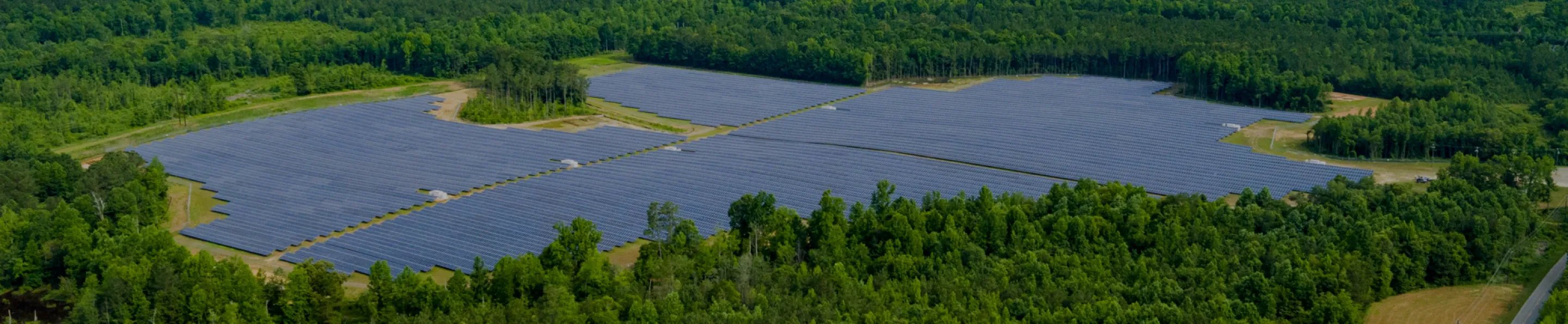 Image of a solar panel field in the middle of a forest.